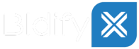 Web Bidify Logo